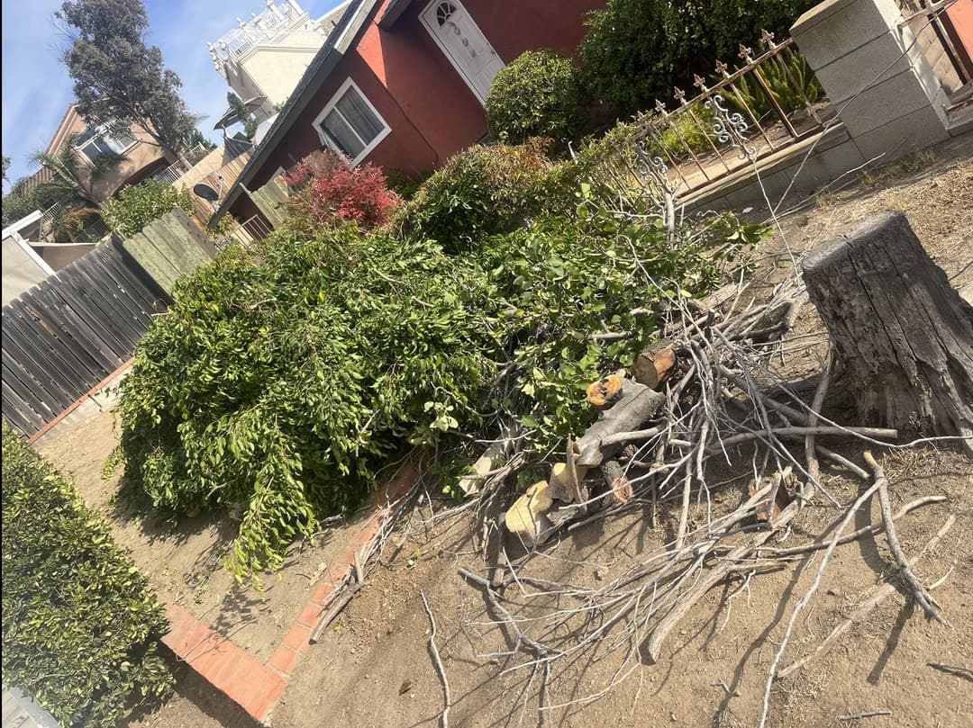 Driveway full of junk